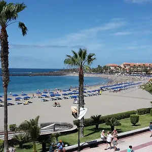 https://ceyla-las-vistas-los-cristianos.in-canary-islands.com